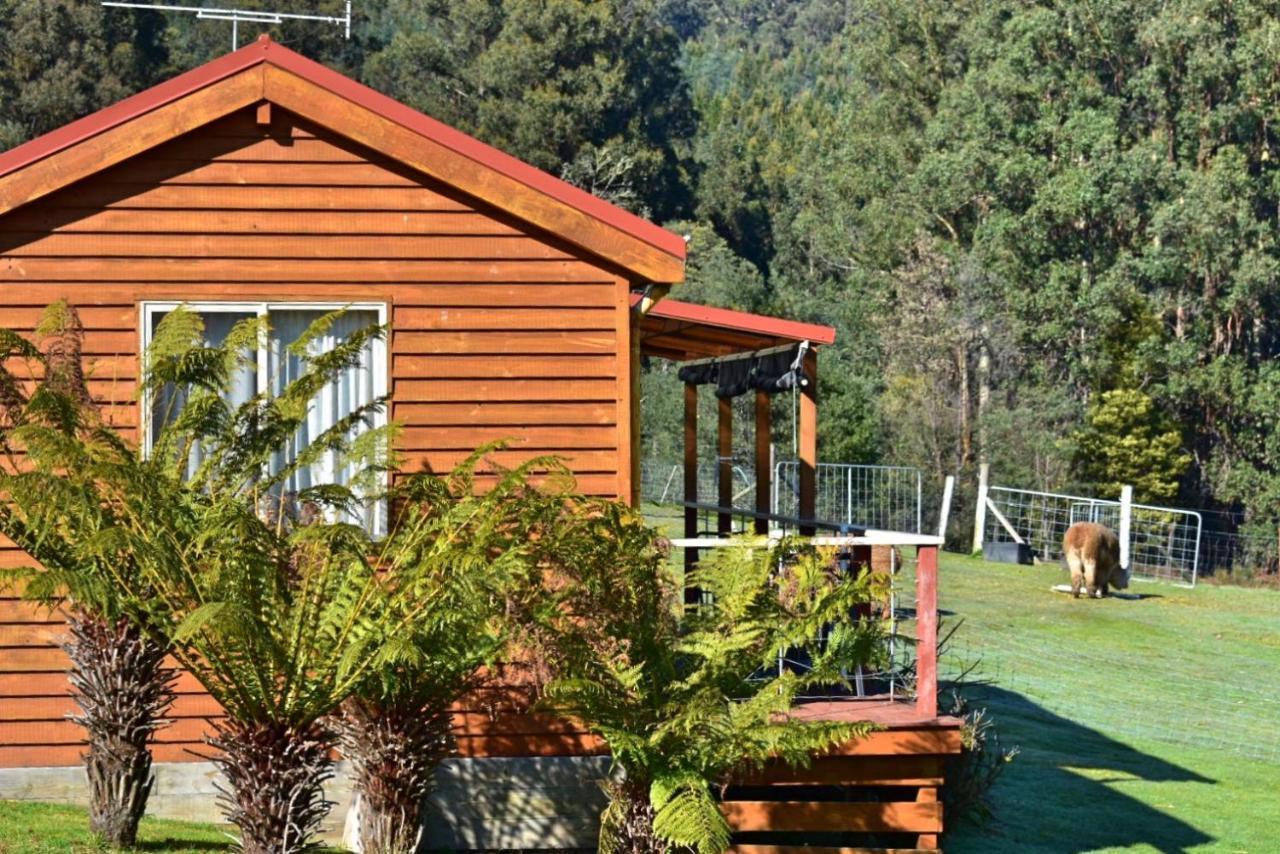 Maydena Mountain Cabins Zewnętrze zdjęcie