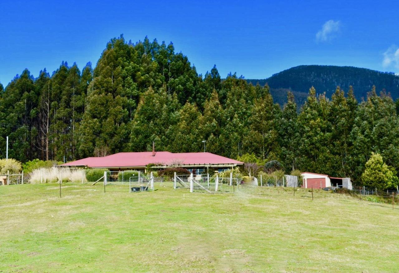 Maydena Mountain Cabins Zewnętrze zdjęcie